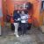 Ibu. Inggrid